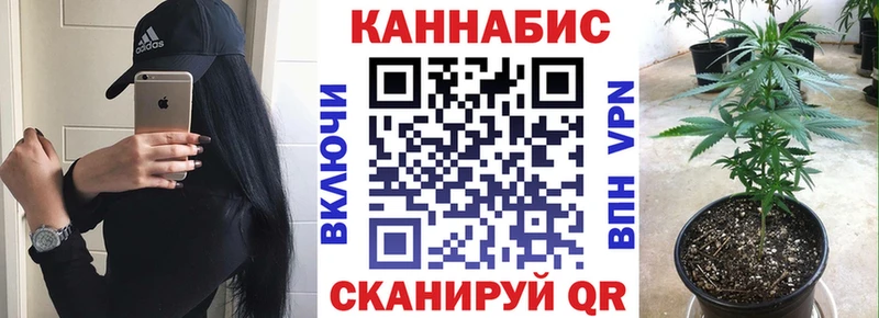 купить наркоту  omg ССЫЛКА  Бошки Шишки планчик  Славгород 